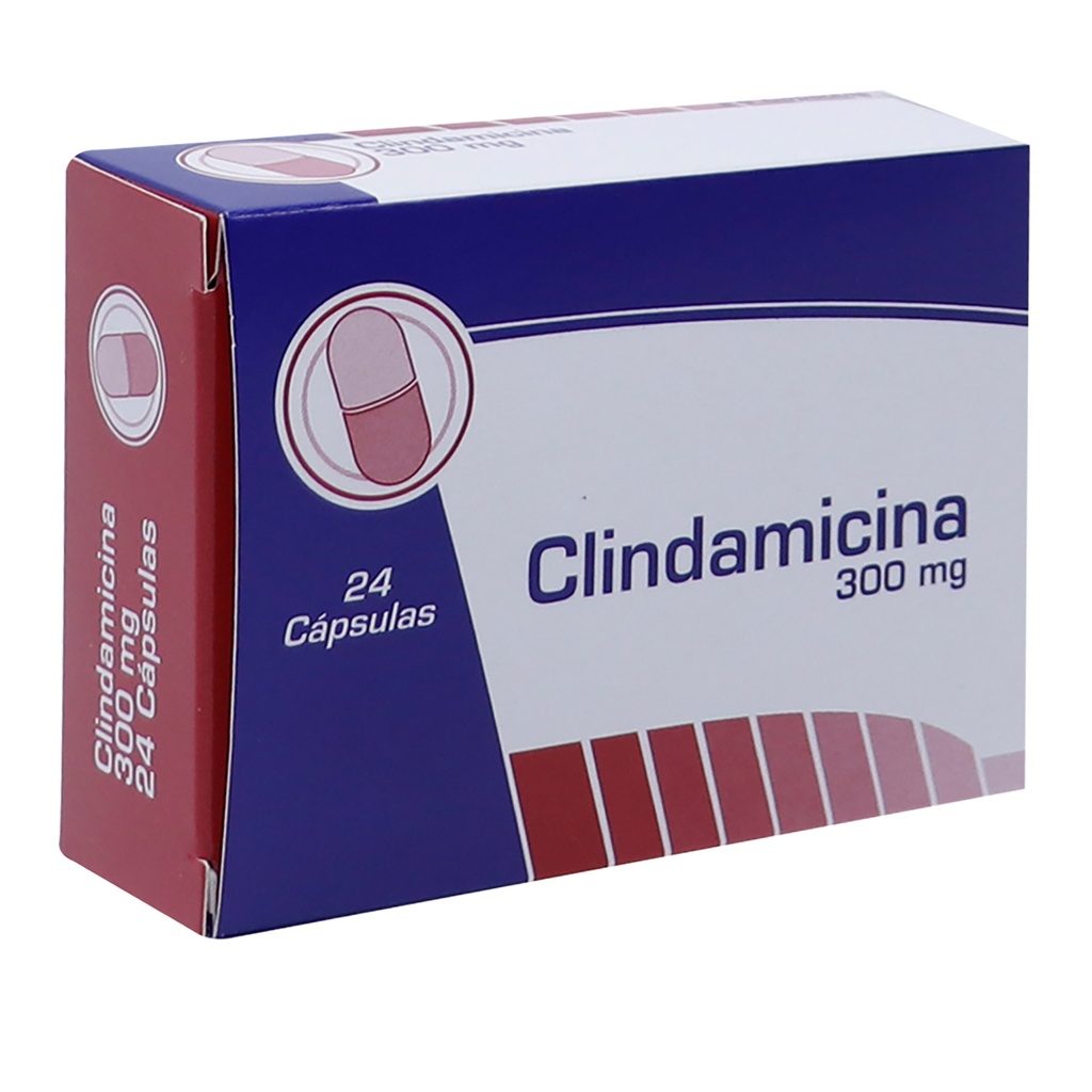 CLINDAMICINA 300 mg x 24 CAP